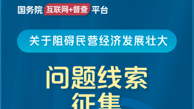 正在日女人逼逼国务院“互联网+督查”平台公开征集阻碍民营经济发展壮大问题线索